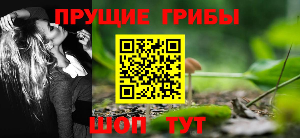 Галлюциногенные грибы прущие грибы  Вход с VPN  Кимовск 