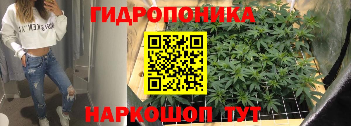 Бошки Шишки семена Кимовск